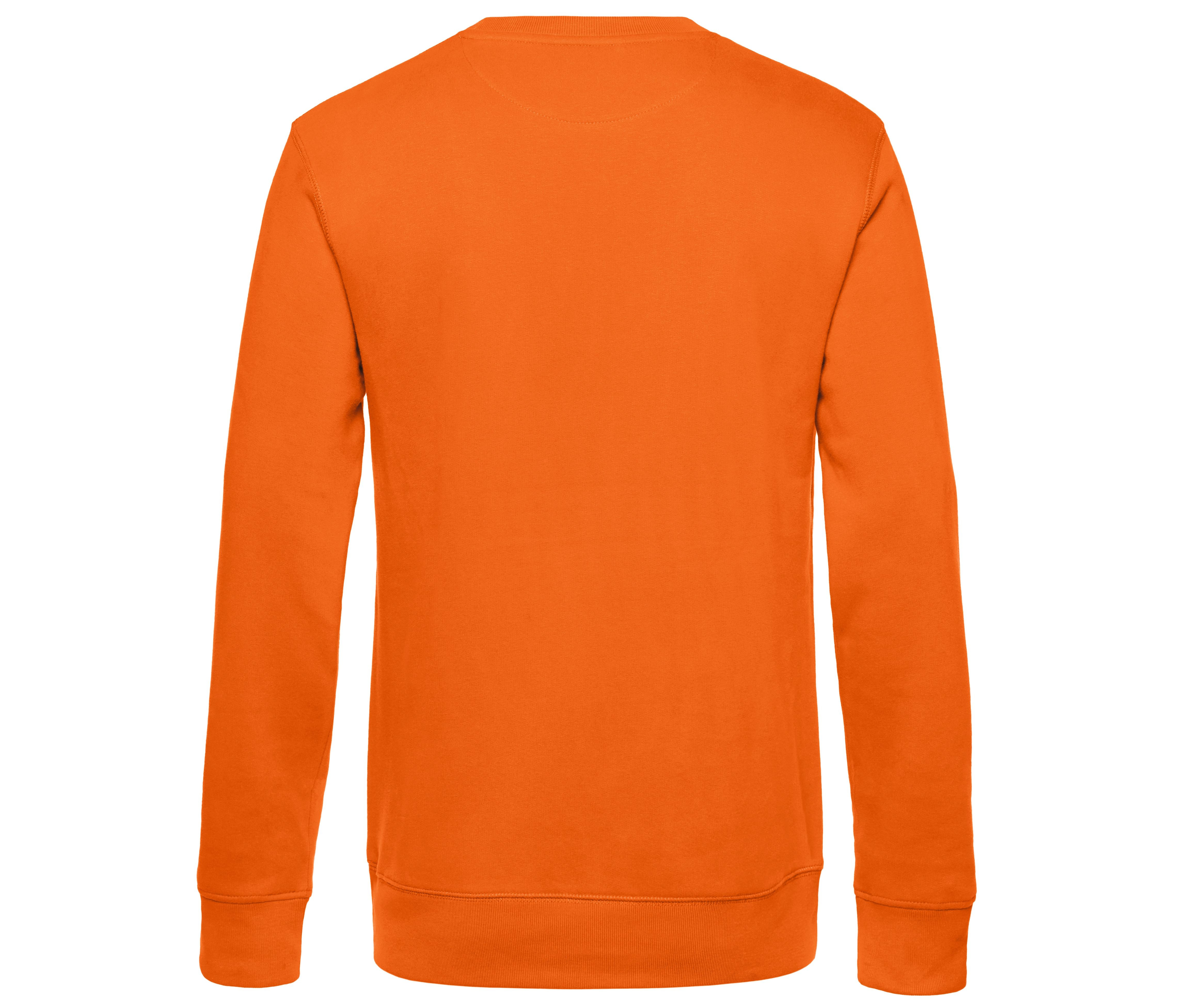 B&C KING CREW NECK - vue 2