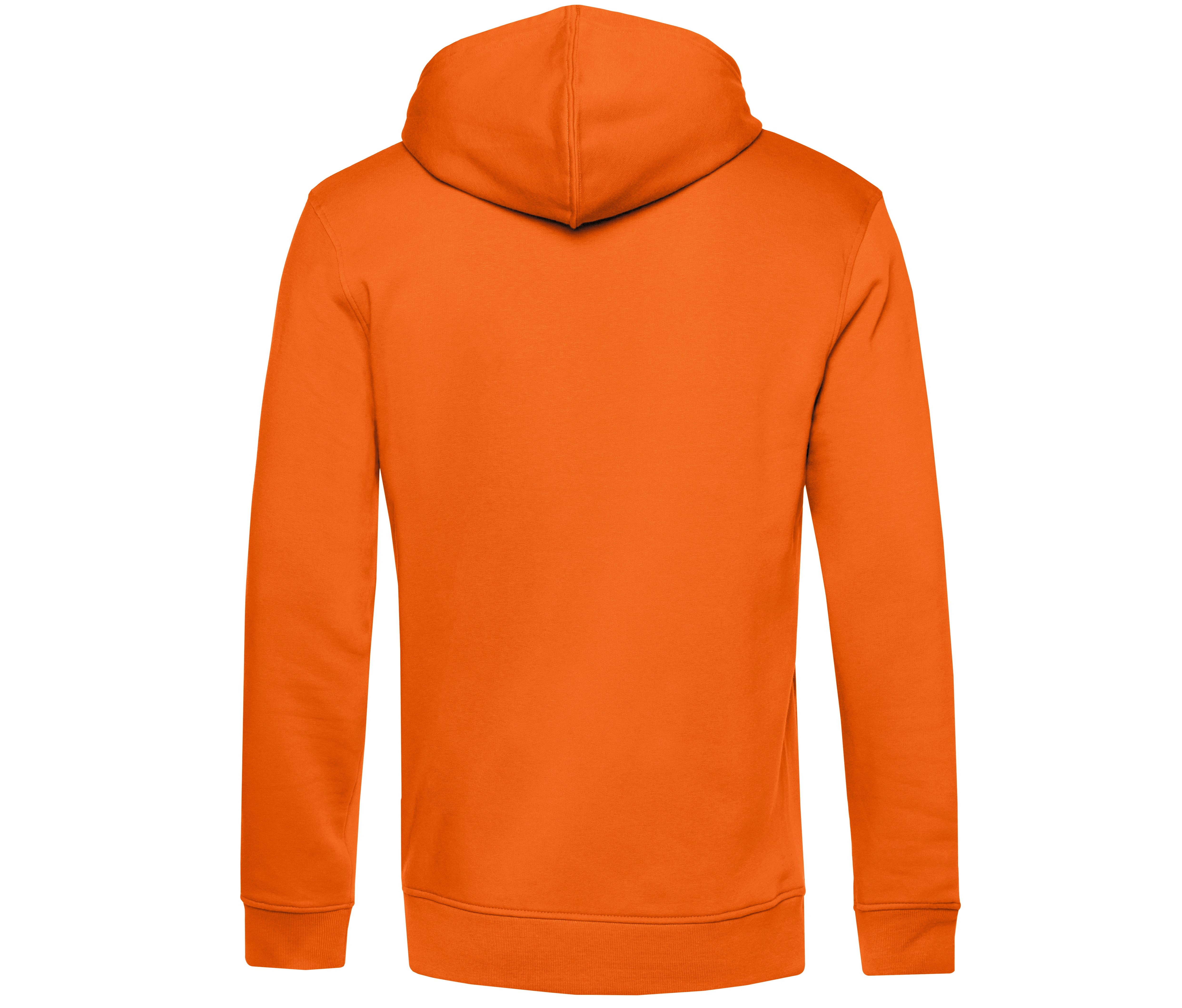 INSPIRE HOODED - vue 2