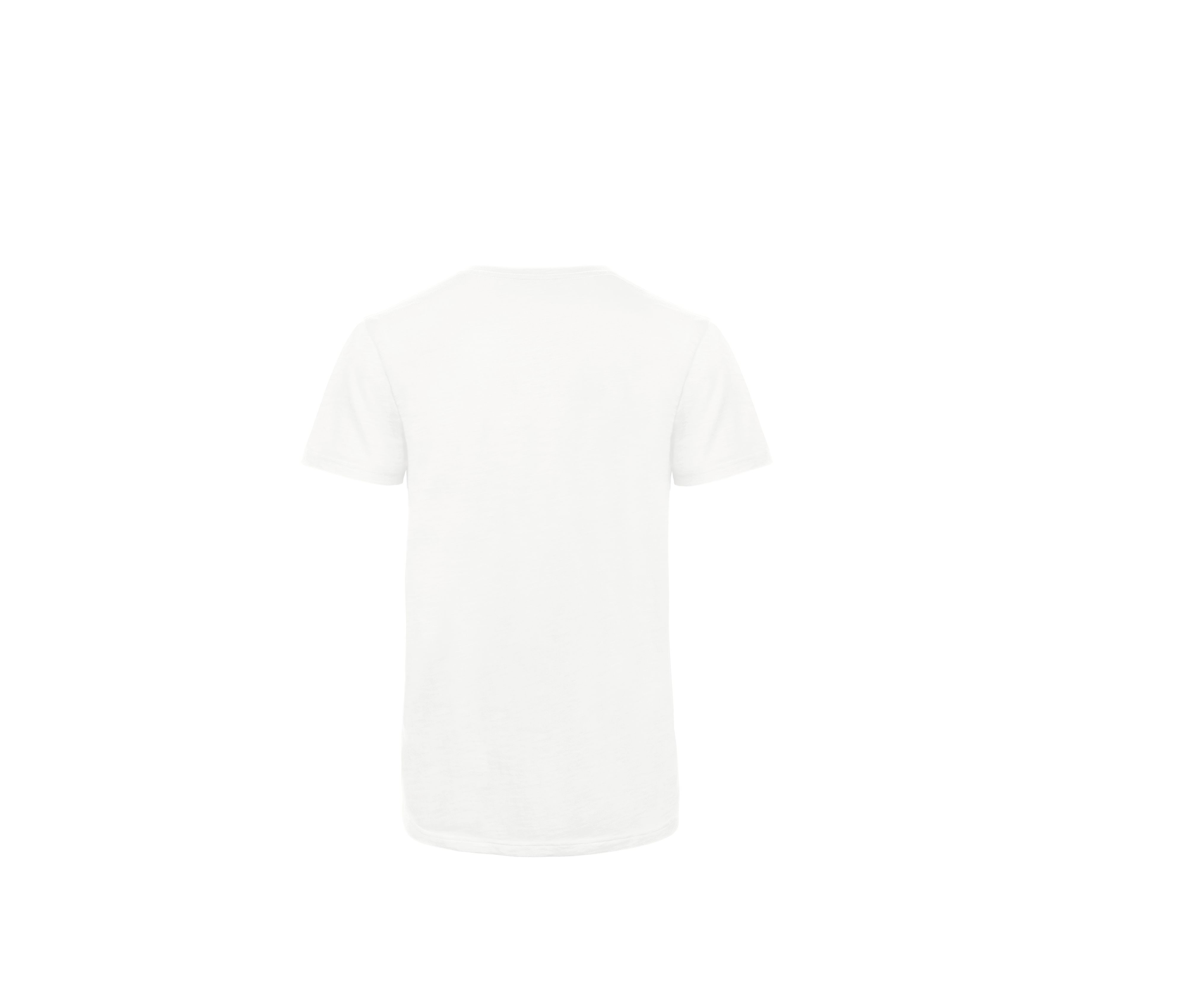 INSPIRE SLUB T/MEN - vue 2