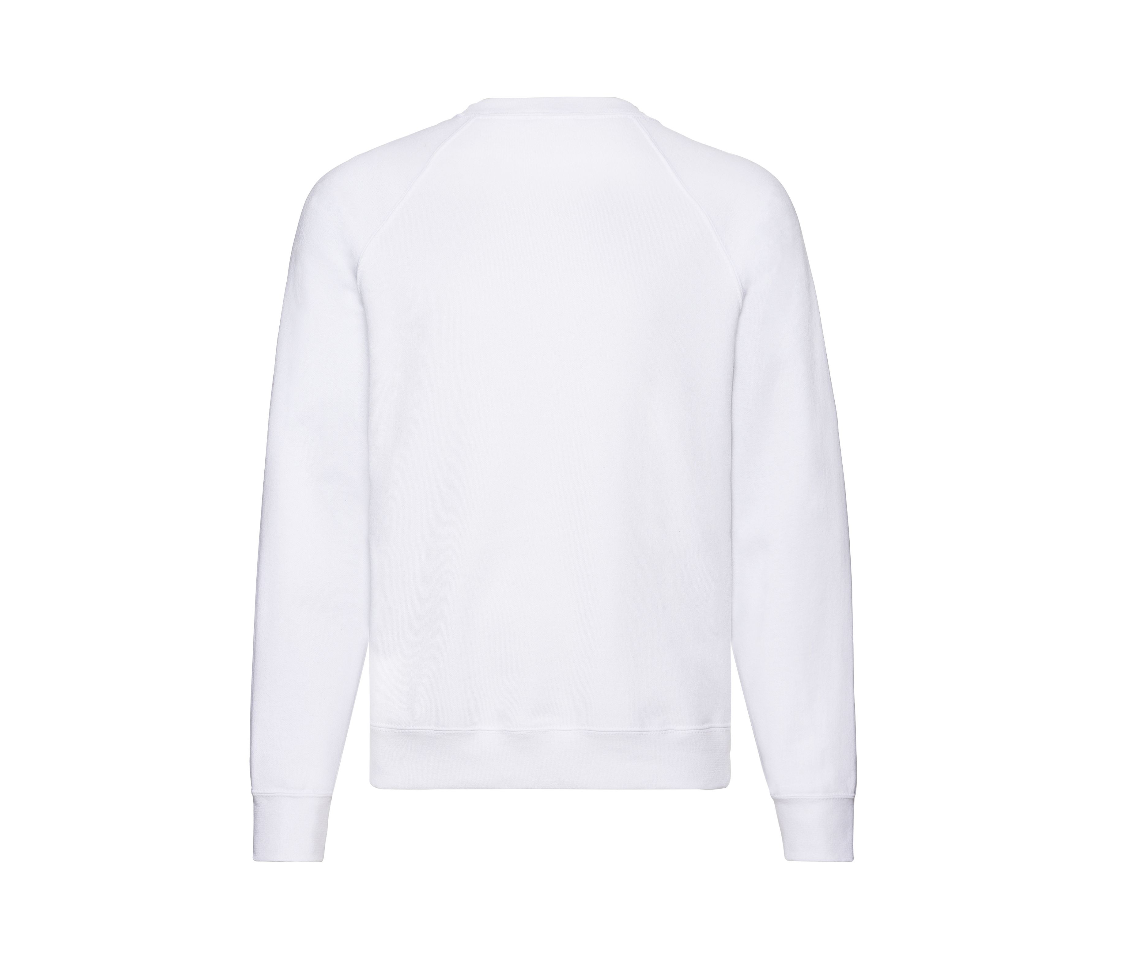 CLASSIC RAGLAN SWEAT - vue 3