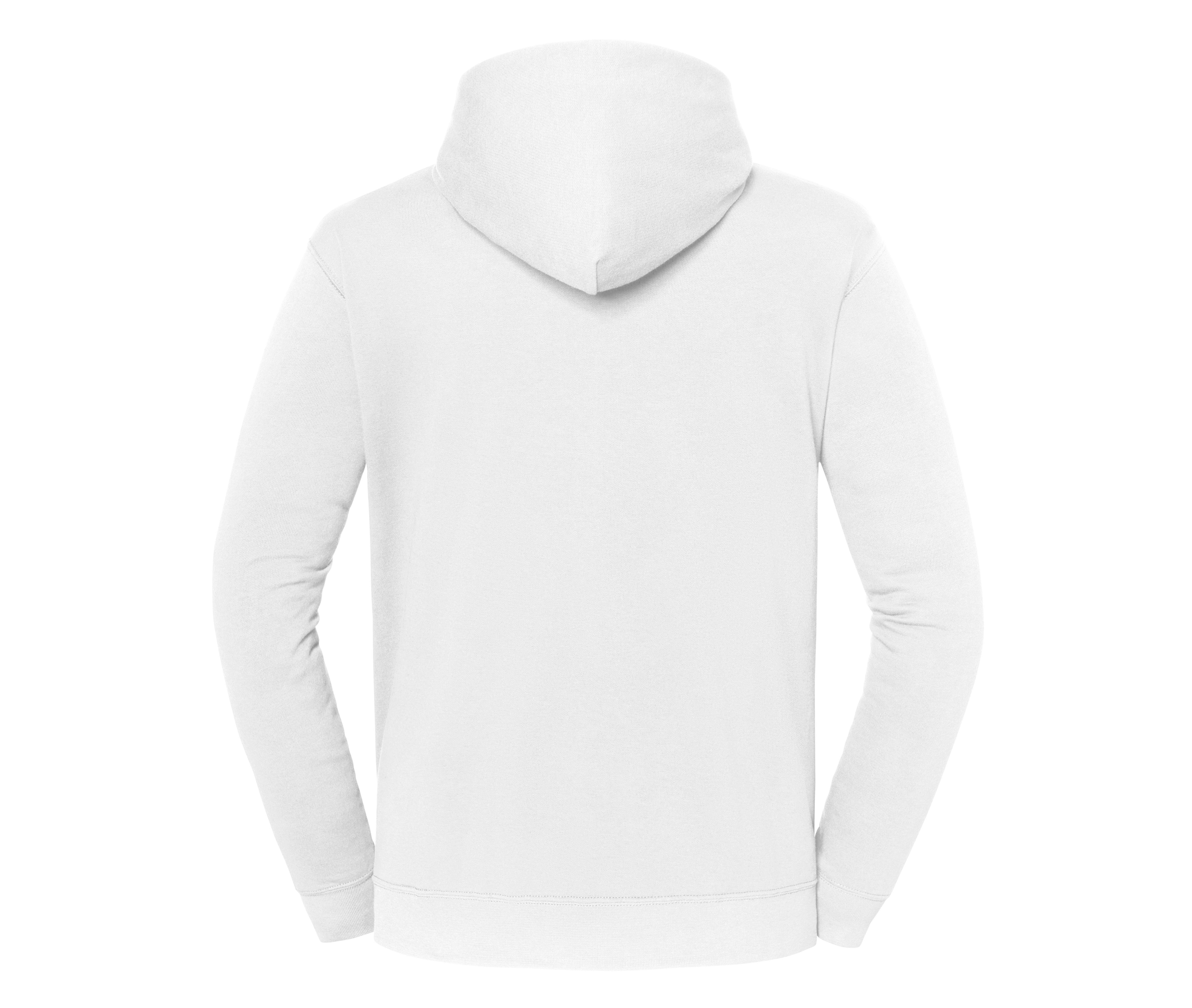 ICONIC 250 HOODED SWEAT - vue 3
