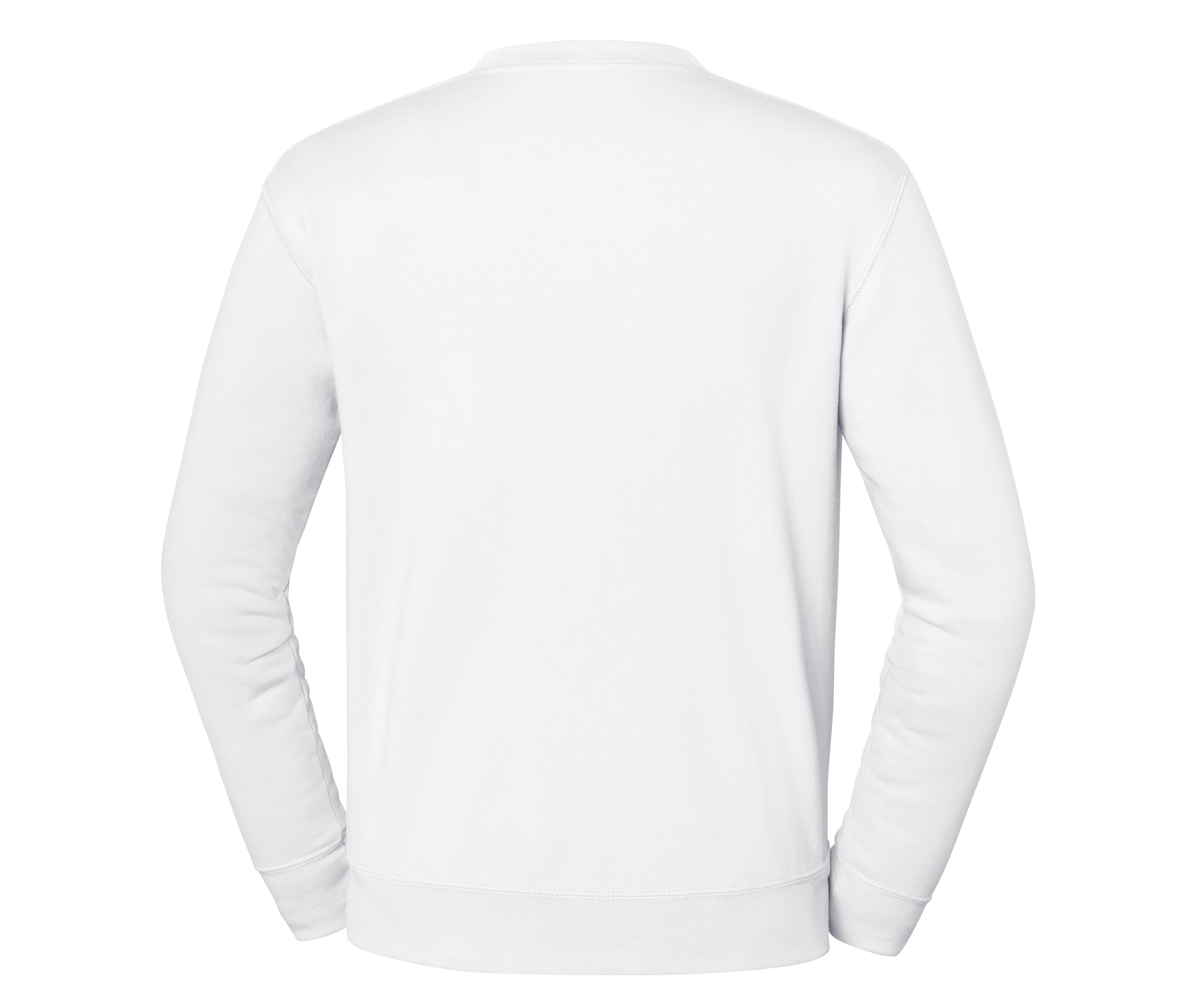 ICONIC 250 SET-IN SWEAT - vue 3