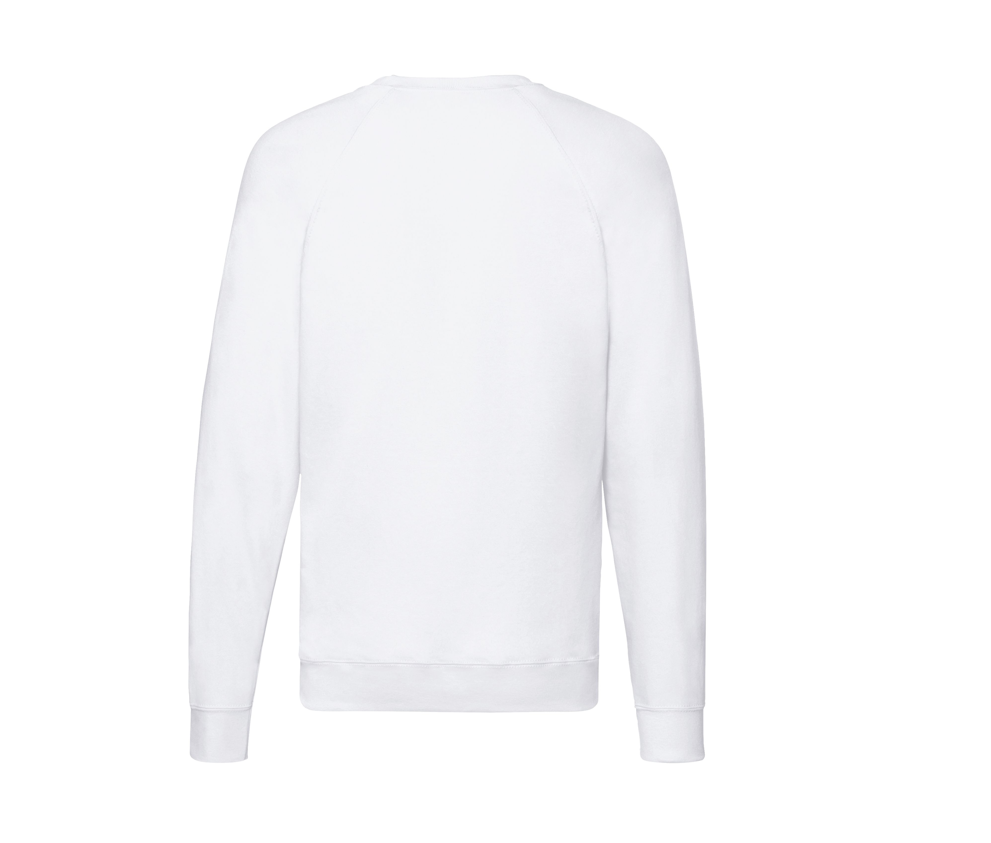 LIGHTWEIGHT RAGLAN SWEAT - vue 3