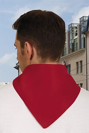Foulard carré FIESTA