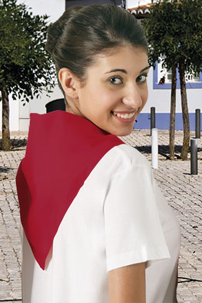 Foulard triangulaire GALA