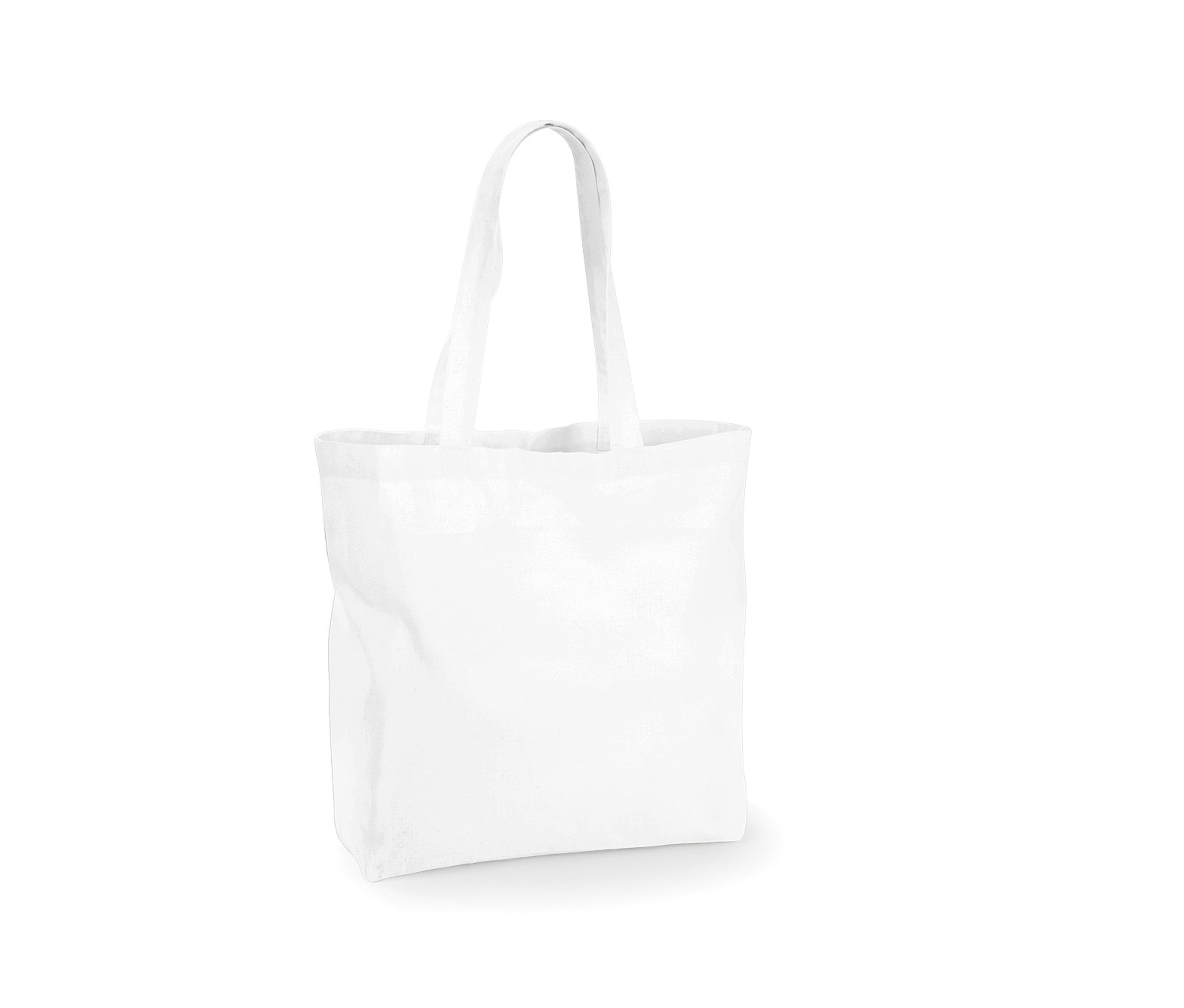 MAXI BAG FOR LIFE - vue 2